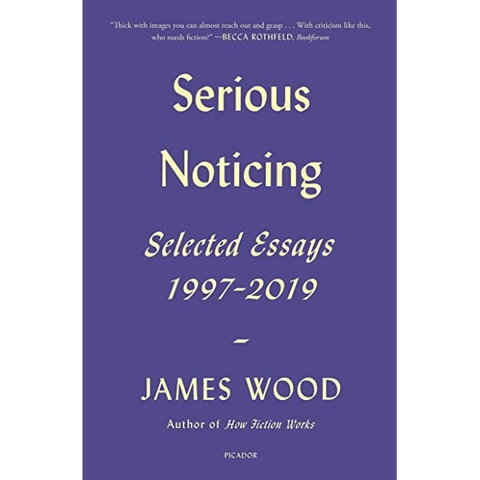 Serious Noticing: Selected Essays, 1997-2019