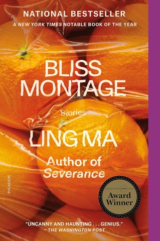 Bliss Montage: Stories