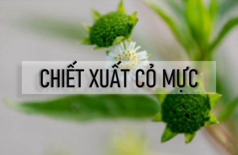 Hình ảnh bài viết
