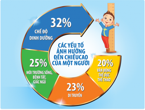 Hình ảnh bài viết