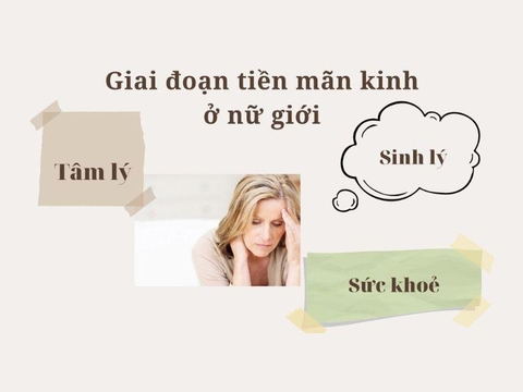 Hình ảnh bài viết