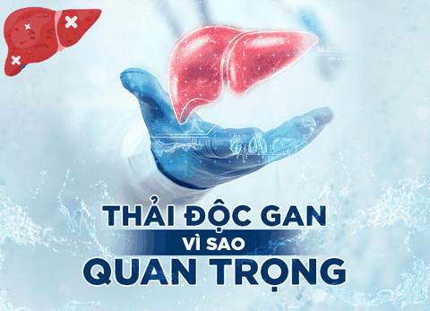 Hình ảnh bài viết