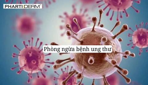 Hình ảnh bài viết