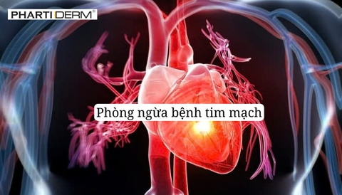 Hình ảnh bài viết