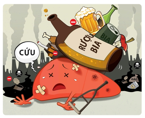 Hình ảnh bài viết