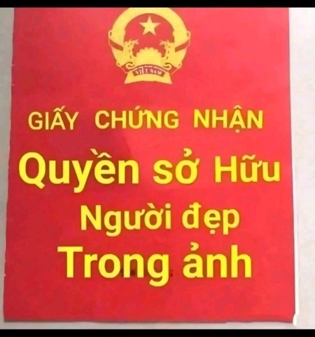 Trồng cây phong thủy theo tuổi cho 12 con giáp gặp may cả năm, tài lộc đầy nhà
