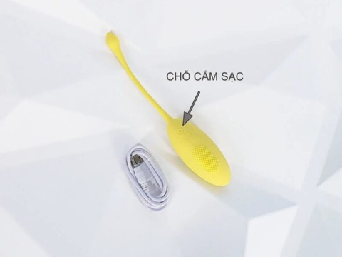 Trứng Rung Tinh Trùng Điều Khiển Từ Xa