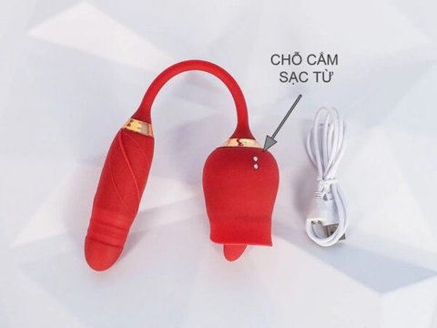 Trứng Rung Tình Yêu Hoa Hồng Hai Đầu – Lưỡi Liếm và Trứng Rung Thụt