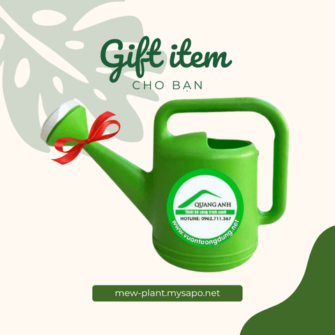 Bình tưới mini tiện dụng cho khu vườn của bạn