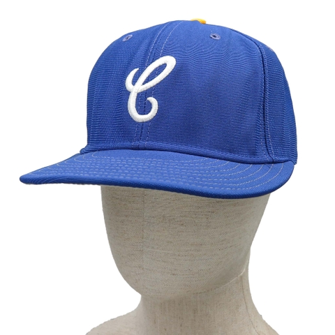 Vintage New Era USA Pro Model Baseball Cap