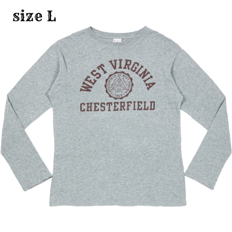 Champion Classic State Print L/S T-Shirt Size L