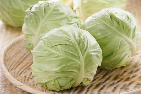 bắp cải tốt cho gan