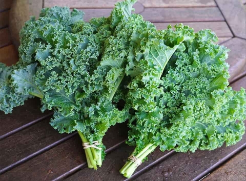 Cải xoăn tốt cho gan