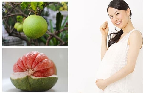 Cam bưởi tốt cho bà bầu