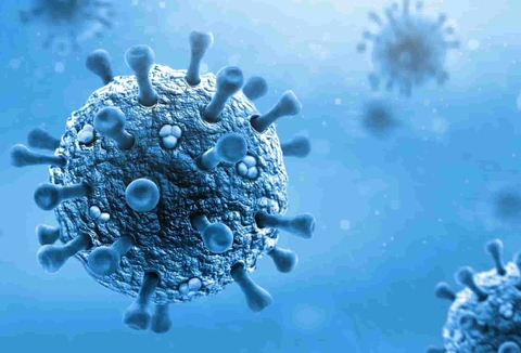 Enterovirus gây viêm màng não