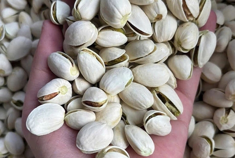 Hạt dẻ cười tốt cho não
