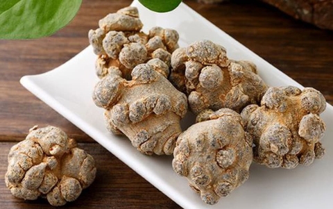 Tam thất là gì?