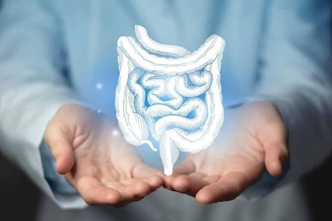 Tiêu hóa tốt biểu hiện gan tốt