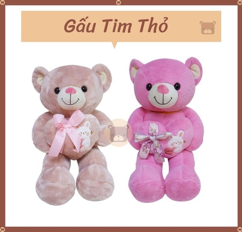 Gấu Tim Thỏ