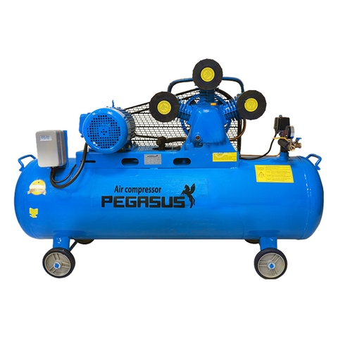Máy nén khí Piston Pegasus - Model: TM-W-0.67/8-330L