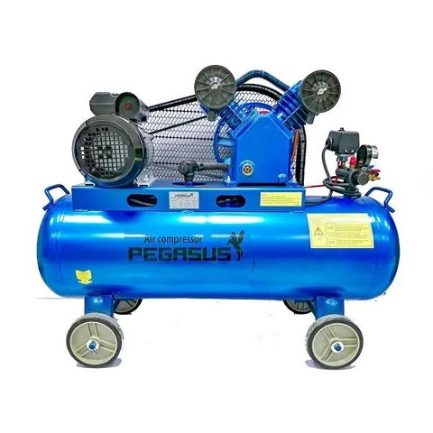 Máy nén khí Piston Pegasus - Model: TM-V-0.12/8-70L