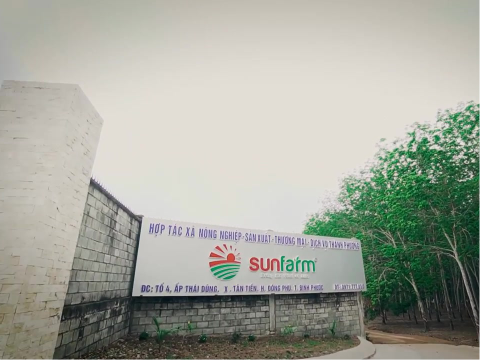 Sunfarm - Tiên phong phát triển nông nghiệp xanh tại Bình Phước