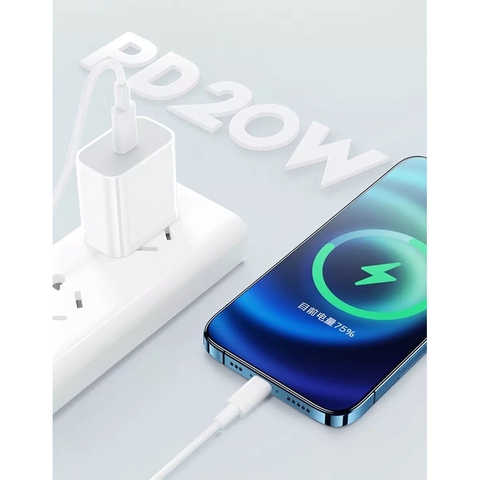 Bộ sạc cáp WIWU 20W