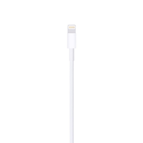 Combo sạc cáp 10W Apple