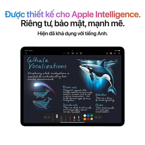 iPad Air (M3) 13 inch 5G