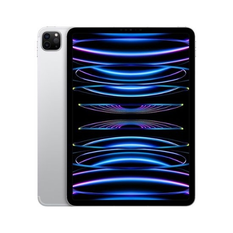 iPad Pro M1 12.9 inch 5G + WiFi 99%