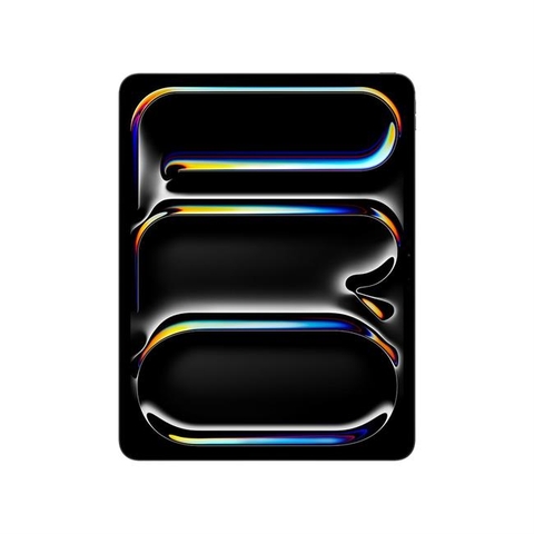iPad Pro M5 13 inch WiFi