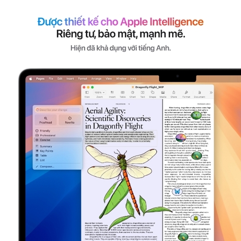 MacBook Air M4 13 inch (10 core GPU | 24GB RAM | 512GB SSD)