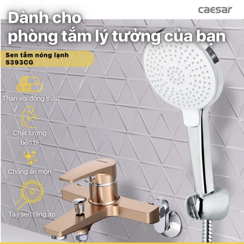 Sen nóng lạnh Caesar S393CG