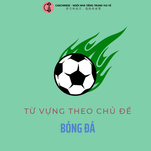 Từ vựng theo chủ đề: Bóng đá