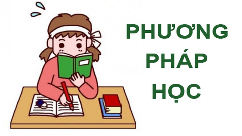 Bắt đầu học tiếng Trung như thế nào để đạt được hiệu quả