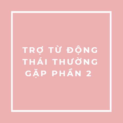  TRỢ TỪ ĐỘNG THÁI THƯỜNG GẶP PHẦN 2