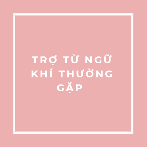 TRỢ TỪ NGỮ KHÍ THƯỜNG GẶP 