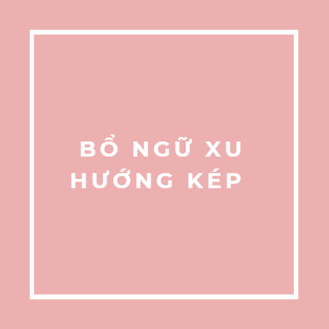 BỔ NGỮ XU HƯỚNG KÉP 