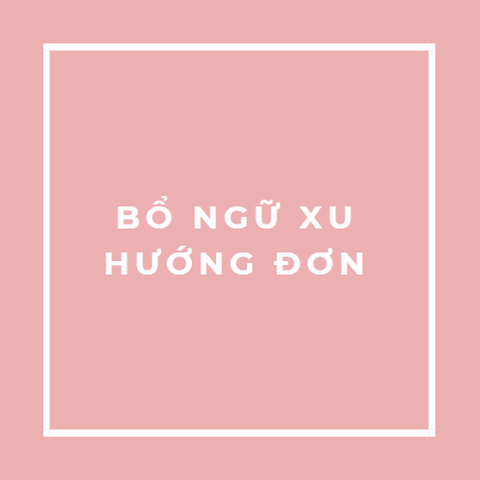 BỔ NGỮ XU HƯỚNG ĐƠN