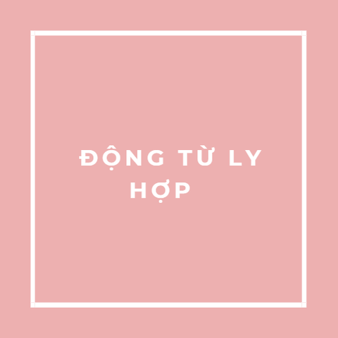  ĐỘNG TỪ LY HỢP 