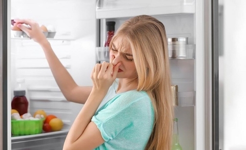 Tại sao tủ lạnh có mùi hôi? Tác hại khi tủ lạnh có mùi khó chịu