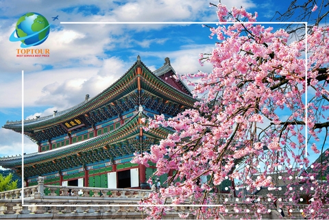 Những lý do nên du lịch Hàn Quốc mùa xuân