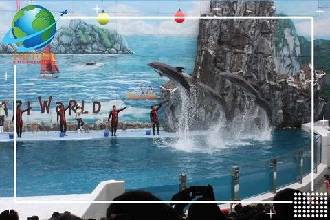 CÁC TOUR DU LỊCH TRONG NƯỚC GIÁ RẺ HÀ NỘI – HẠ LONG – SAPA – LÀO CAI