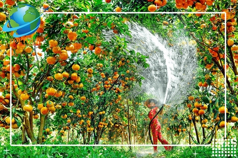 ĐÂU LÀ TOP 25 CẢNH ĐẸP NHẤT VIỆT NAM ĐÁNG DU LỊCH NHẤT 2022