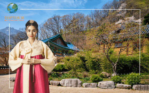 KHÁM PHÁ NHỮNG PHIM TRƯỜNG KHI DU LỊCH HÀN QUỐC ĐẸP NHƯ MƠ - ĐỊA ĐIỂM CHECK-IN KHÔNG THỂ BỎ LỠ