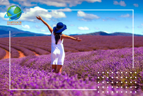 Du lịch Úc mùa xuân có gì hấp dẫn? Những điều thú vị bạn chỉ có thể bắt gặp khi đến với xứ sở kangaroo vào mùa xuân