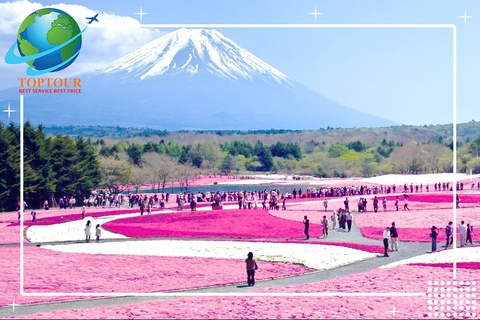 KHÁM PHÁ NGAY TOP 10 ĐỊA ĐIỂM ĐẸP NHẤT DU LỊCH TẠI NHẬT BẢN