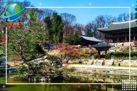 TỔNG HỢP TOP 5 CẢNH ĐẸP NHẤT HÀN QUỐC ĐÁNG DU LỊCH TRONG NĂM NAY