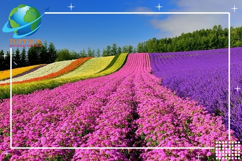 TOP 15 ĐỊA ĐIỂM CẢNH ĐẸP NHẤT NHẬT BẢN ĐÁNG DU LỊCH