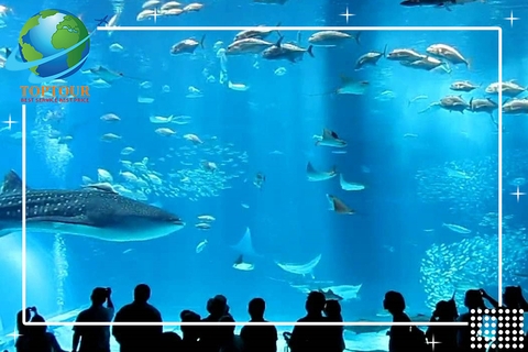 TOP 25 ĐỊA ĐIỂM CẢNH ĐẸP NHẤT NHẬT BẢN ĐÁNG DU LỊCH